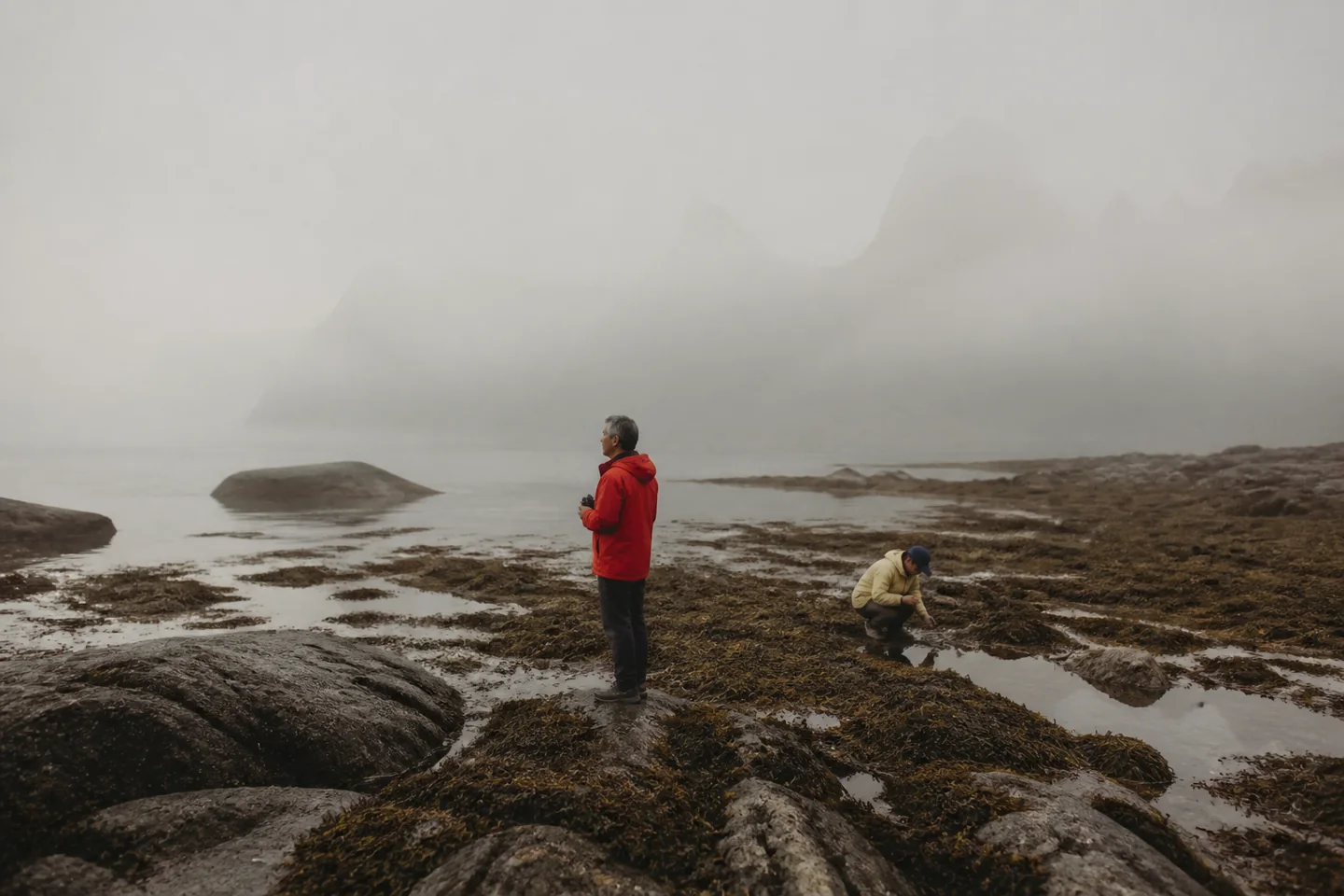 Older couple exploring tidal pools on a foggy Lofoten shore
